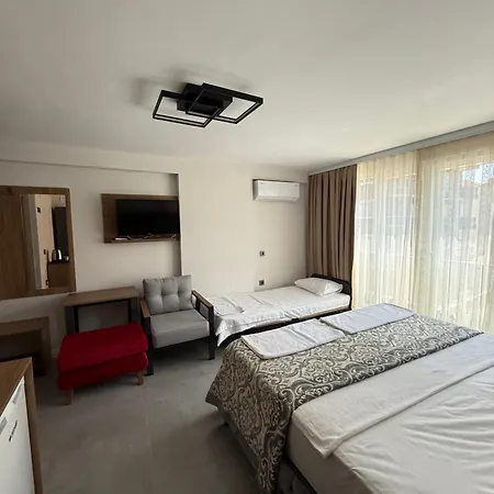 Hotel D'premium *